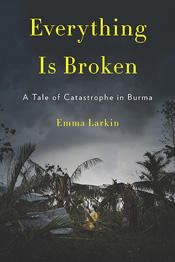 Review: Everything is Broken by Emma Larkin post image