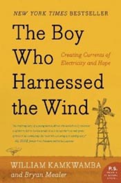 Review: The Boy Who Harnessed the Wind post image