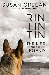 Rin Tin Tin