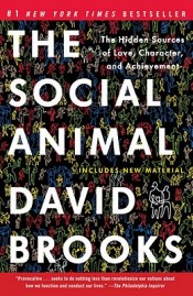 Review: ‘The Social Animal’ by David Brooks post image