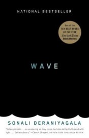 Review: ‘Wave’ by Sonali Deraniyagala post image