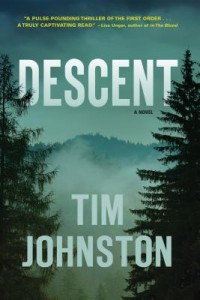 descent by tim johnston cover