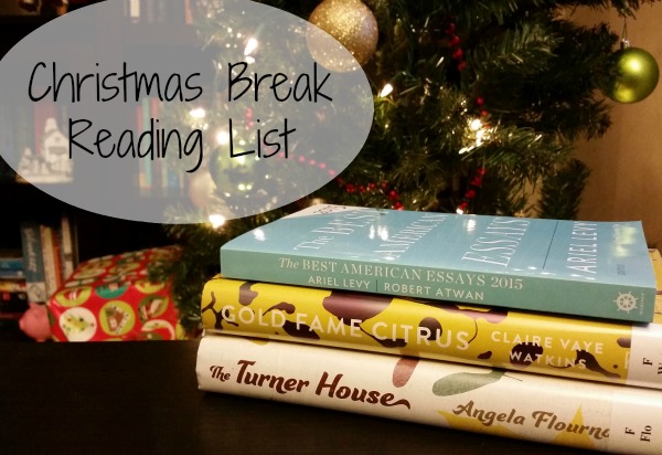 christmas break reading list