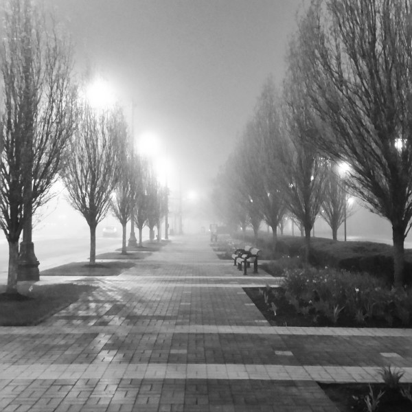 The walk back to the McCormick Place Hyatt on Tuesday night was pretty creepy. 